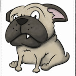 grumpy dog