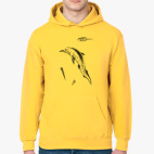 Толстовка худи