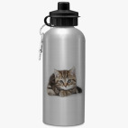 Спортивная бутылка