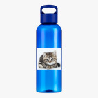 Прозрачная спортивная бутылка