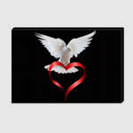 Белый голубь