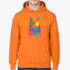 Толстовка худи