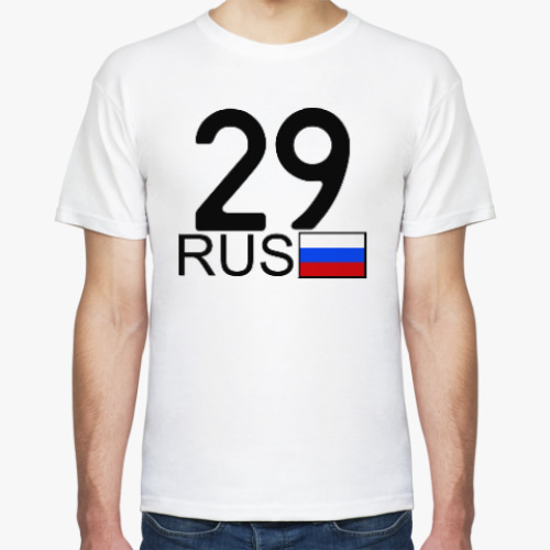 Футболка с принтом 29 RUS (A777AA)