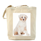 Самые милые щенки