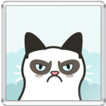 Grumpy Cat