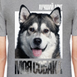 Аляскинский маламут