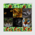 Холст 30 х 30 см Коты смотрят
