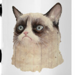 Grumpy Cat / Сердитый Кот