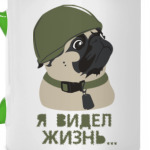 Я видел жизнь