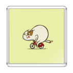 Велокот — Пятничный Котик №46