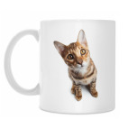 Кружка 330 мл