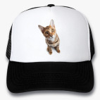 Кепки Trucker