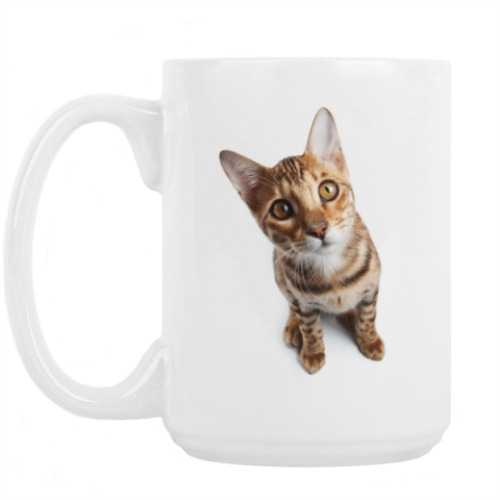 Кружка с принтом Кошки и котята