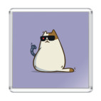 Пятничный Котик №11