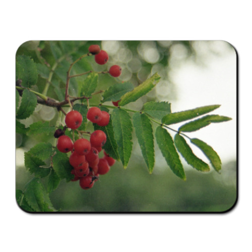 Коврик для мыши Рябина