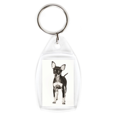 Брелок с принтом Щенок