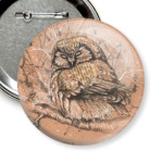 Спящая сова