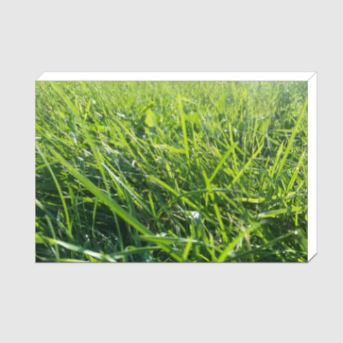 Холст с принтом Трава