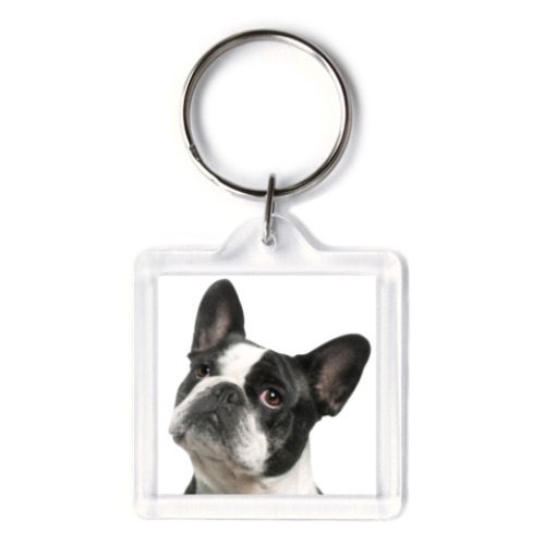 Брелок с принтом Французский бульдог