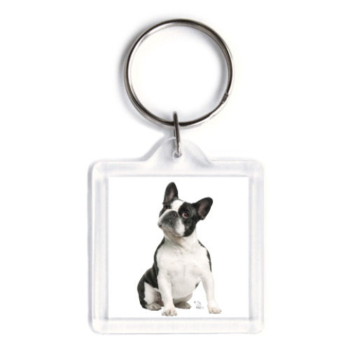 Брелок с принтом Французский бульдог