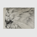 Былый попугай