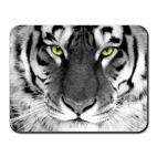 Коврик для мыши Белый тигр