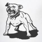 'Pit Bull'