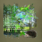 Ежик. Мимими. Дорога. Деревья. Роща. Небо.