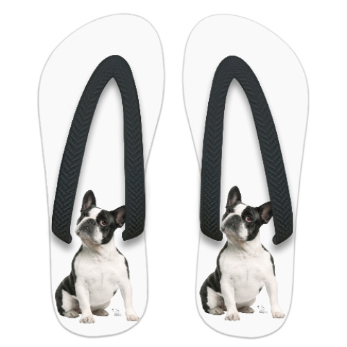 Шлепанцы (сланцы) с принтом фр.буль