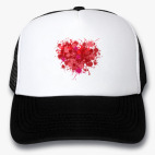 Кепки Trucker
