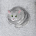 Серый кот, кошка