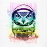 Космическая сова