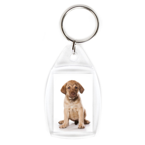 Брелок с принтом Щенок