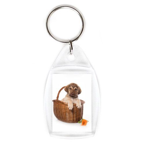 Брелок с принтом Щенок
