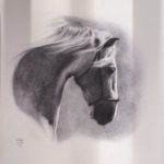 Голова серой лошади