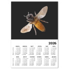 Календарь A4 2026, белый Пчела / Bee