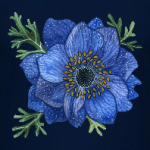 Синий цветок анемоны