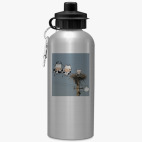 Спортивная бутылка