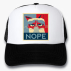 Кепки Trucker