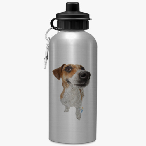 Бутылка с карабином (500 мл) с принтом Рассел