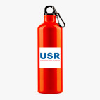 Металлическая бутылка 700 мл UV-DTF