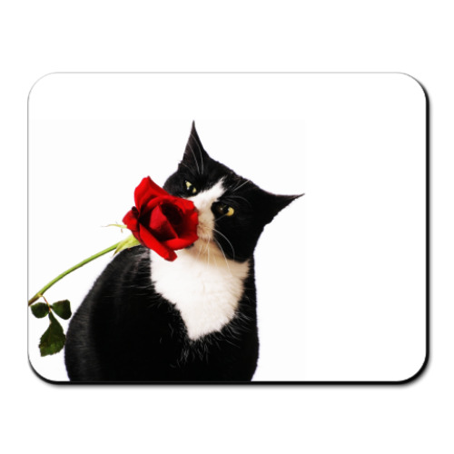 Коврик для мыши с принтом  КОТ и РОЗА