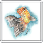 Золотая рыбка