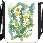 Солнечные одуванчики