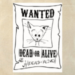  Кот Шредингера