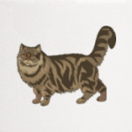 Длинношерстная кошка