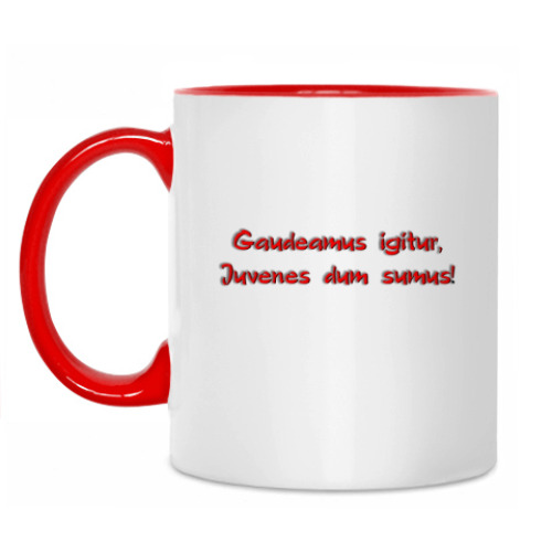 Кружка Итак, будем веселиться,  Пока мы молоды!