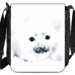 Малыш тюлень