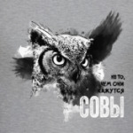 'Совы не то, чем кажутся!'