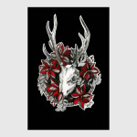 Череп оленя Black deer scull